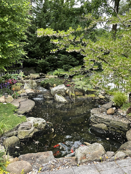 custom water features