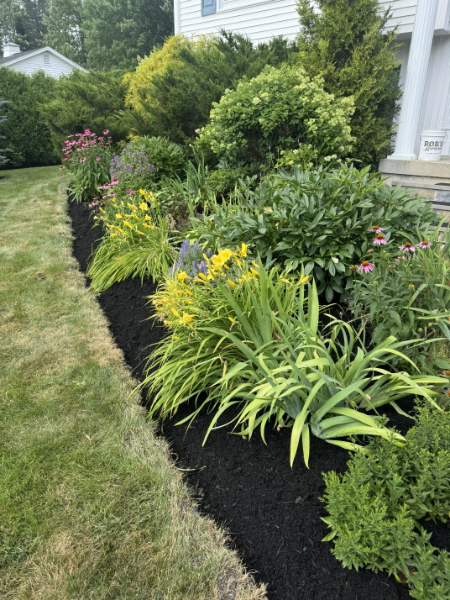 How to Plan a Stunning Backyard Makeover in Hampden, Maine