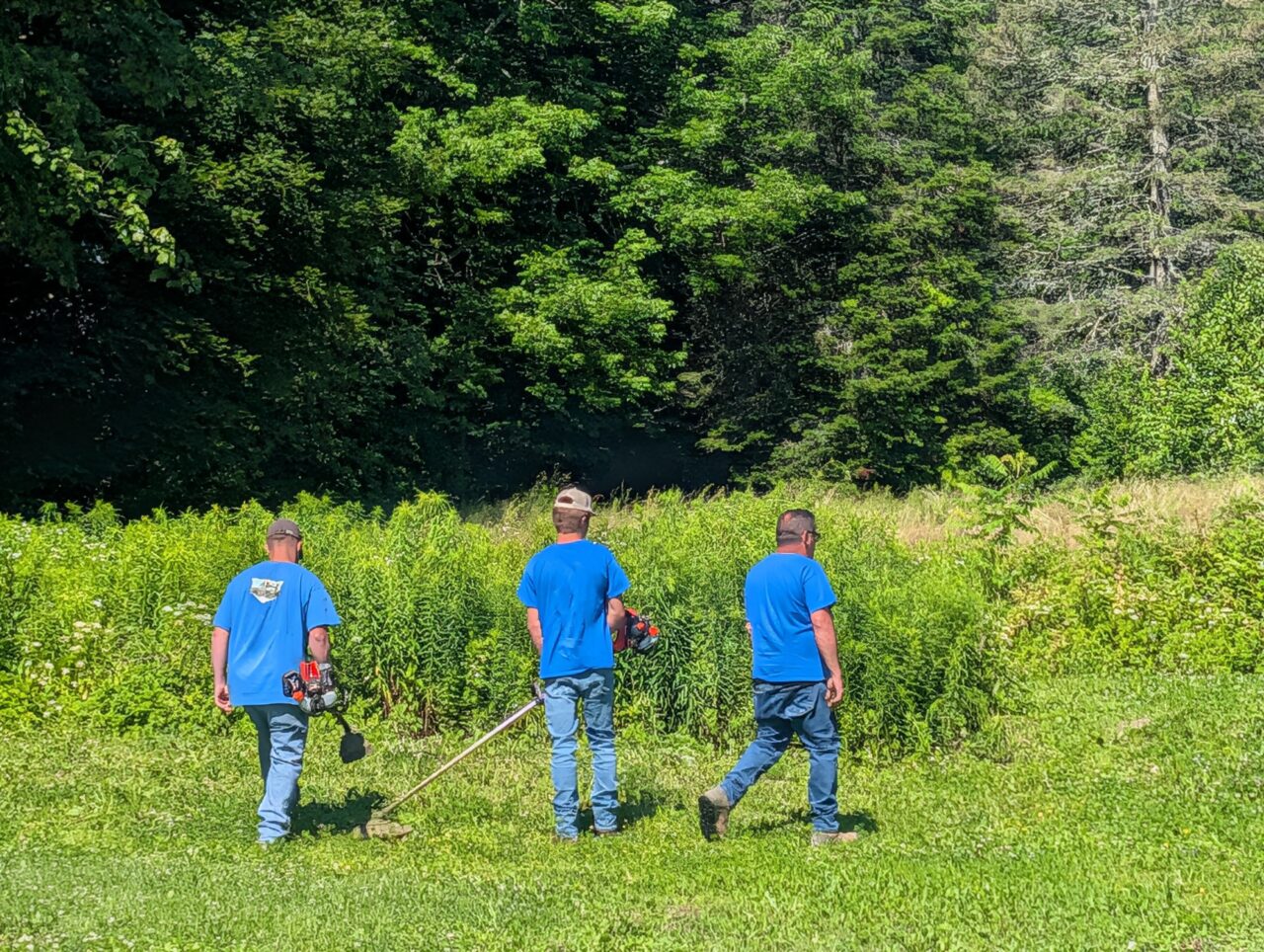 PXL_20250630_134036059.MP