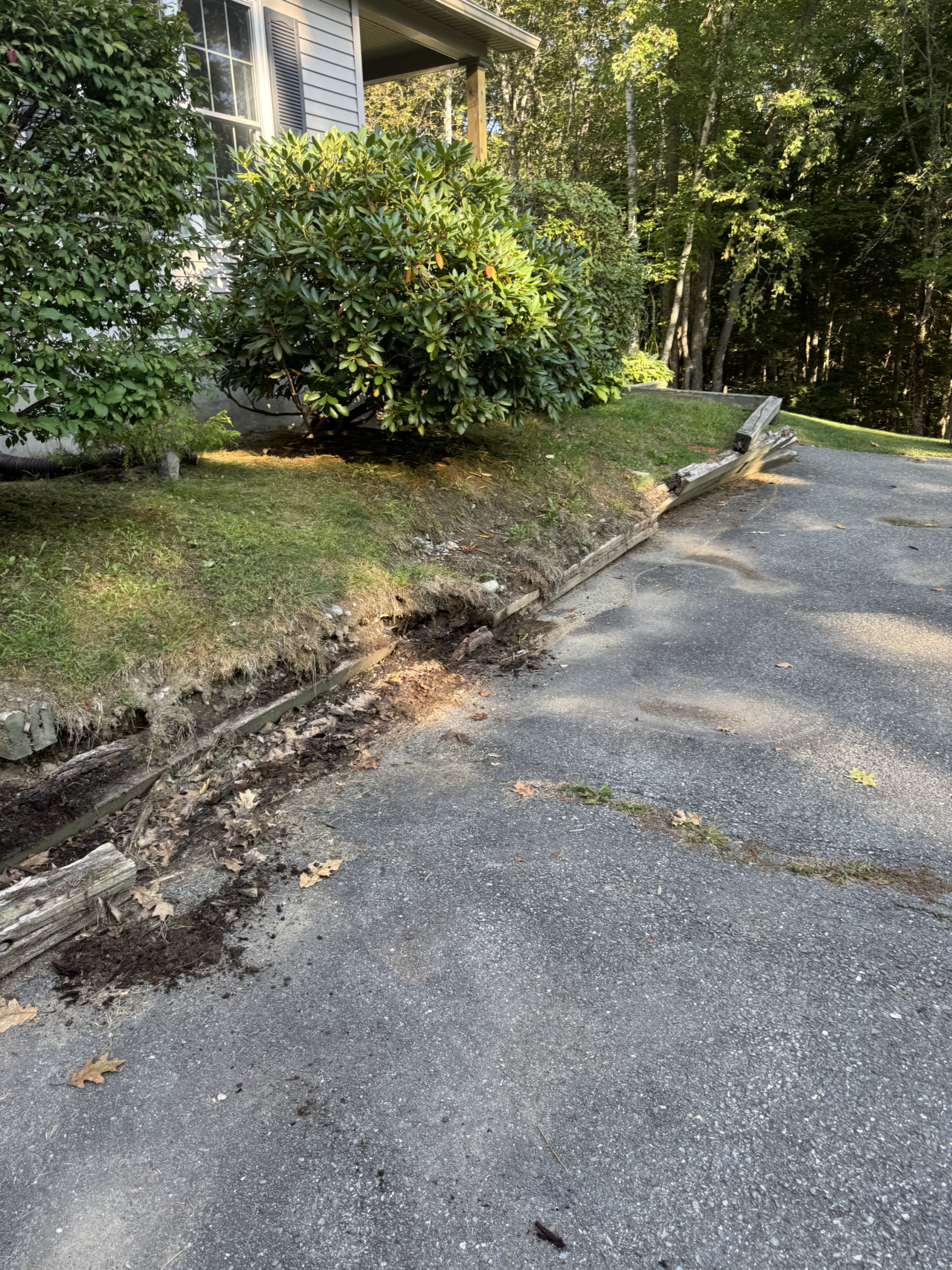 IMG_1590.heic.unknown