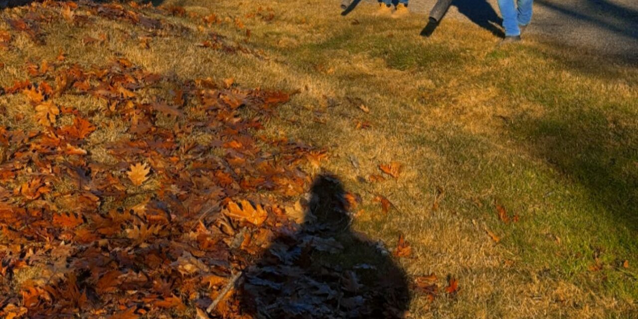 Fall Yard Cleanup Services in Maine